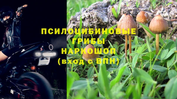 мескалин Нефтегорск