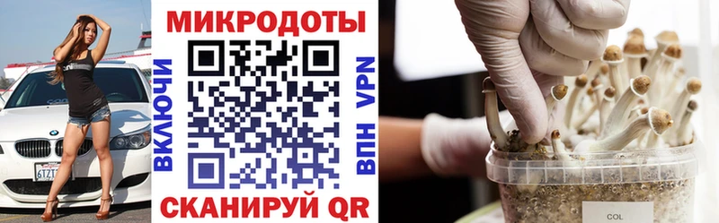 Купить  Шилка  Галлюциногенные грибы мухоморы 