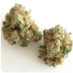 Шишки "White Widow"  (Белая вдова)  Гидропоника -  Бошка VHQ в Шилке